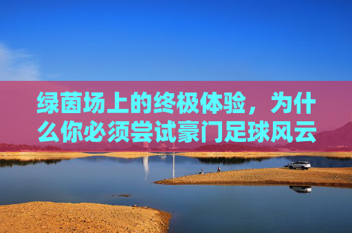 绿茵场上的终极体验,为什么你必须尝试豪门足球风云电脑版