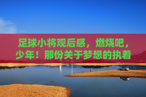 足球小将观后感,燃烧吧,少年!那份关于梦想的执着