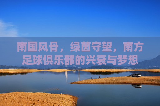 南国风骨,绿茵守望,南方足球俱乐部的兴衰与梦想