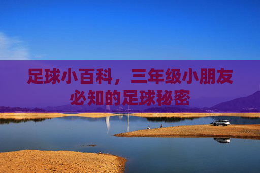 足球小百科,三年级小朋友必知的足球秘密