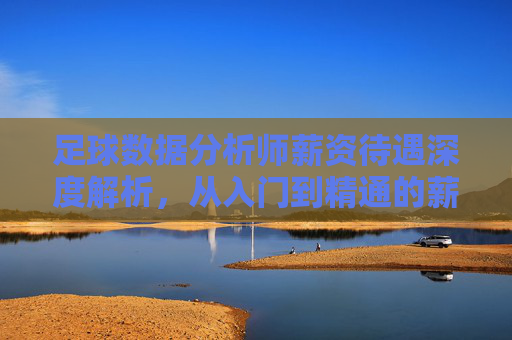 足球数据分析师薪资待遇深度解析,从入门到精通的薪酬图谱