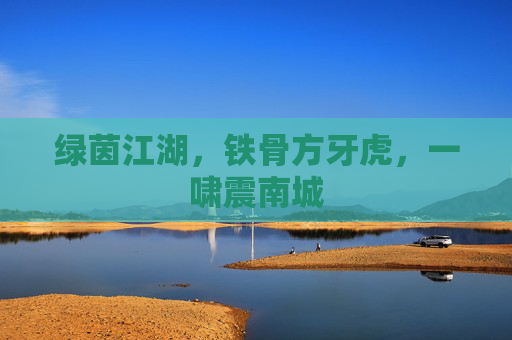绿茵江湖,铁骨方牙虎,一啸震南城