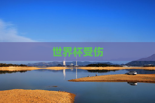 世界杯受伤