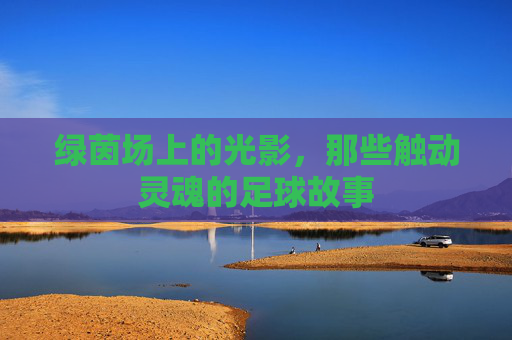 绿茵场上的光影,那些触动灵魂的足球故事