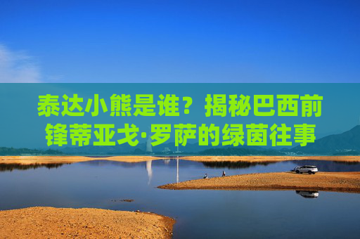 泰达小熊是谁?揭秘巴西前锋蒂亚戈·罗萨的绿茵往事