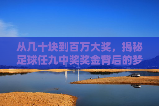 从几十块到百万大奖,揭秘足球任九中奖奖金背后的梦想与博弈