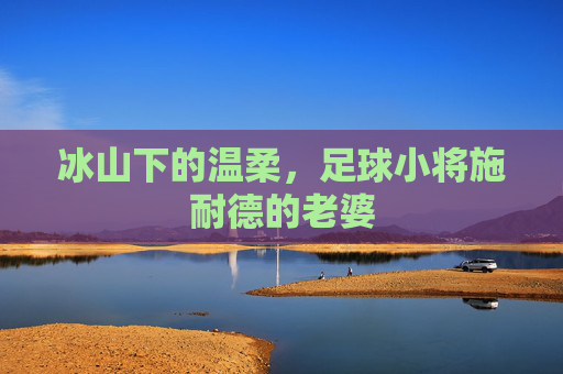 冰山下的温柔,足球小将施耐德的老婆