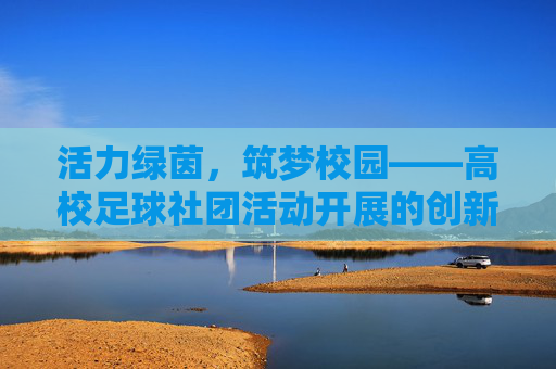 活力绿茵,筑梦校园——高校足球社团活动开展的创新与思考