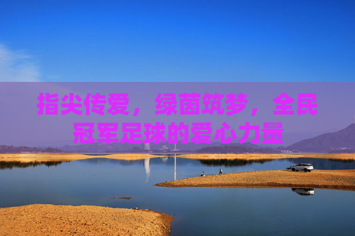 指尖传爱,绿茵筑梦,全民冠军足球的爱心力量