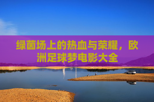 绿茵场上的热血与荣耀,欧洲足球梦电影大全
