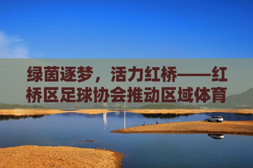 绿茵逐梦,活力红桥——红桥区足球协会推动区域体育文化新发展