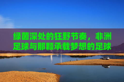绿茵深处的狂野节奏,非洲足球与那颗承载梦想的足球