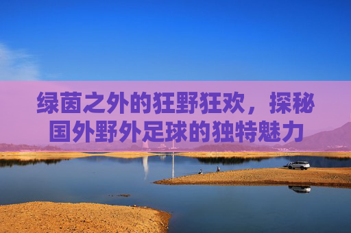 绿茵之外的狂野狂欢,探秘国外野外足球的独特魅力