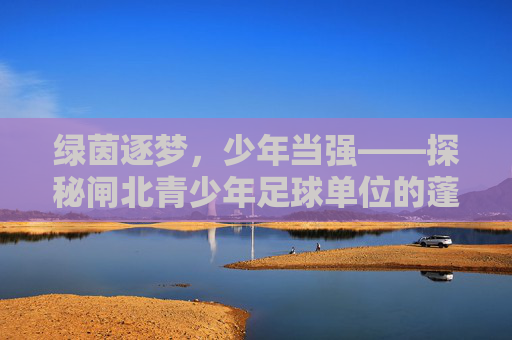 绿茵逐梦,少年当强——探秘闸北青少年足球单位的蓬勃发展