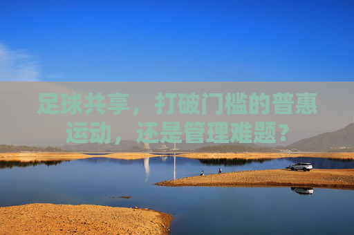 足球共享,打破门槛的普惠运动,还是管理难题?