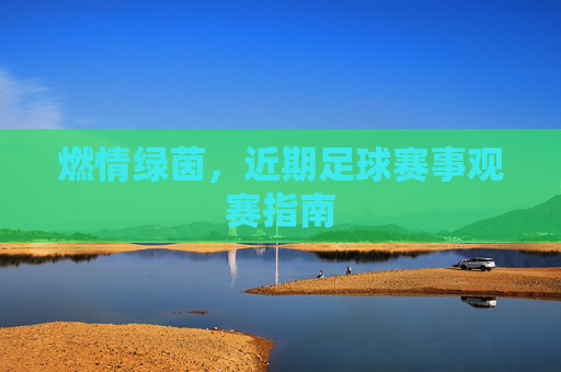 燃情绿茵,近期足球赛事观赛指南