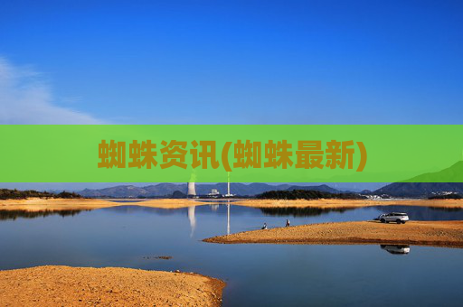 蜘蛛资讯(蜘蛛最新)