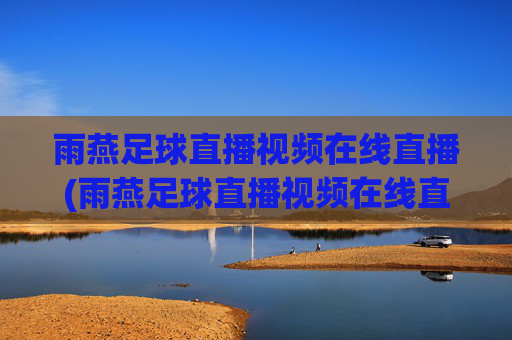 雨燕足球直播视频在线直播(雨燕足球直播视频在线直播NBA)