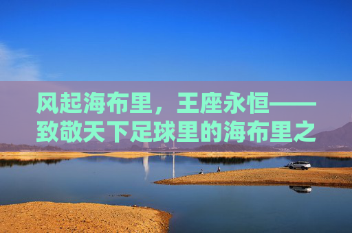 风起海布里,王座永恒——致敬天下足球里的海布里之王