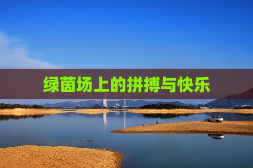 绿茵场上的拼搏与快乐