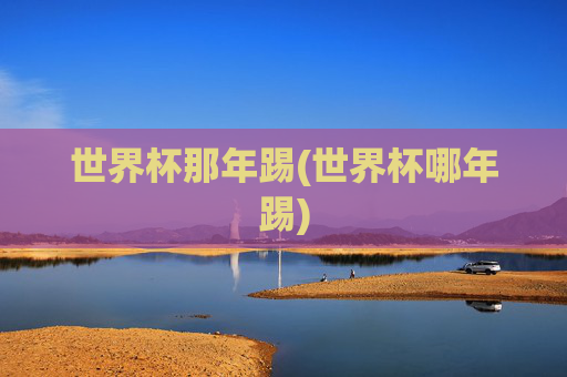 世界杯那年踢(世界杯哪年踢)