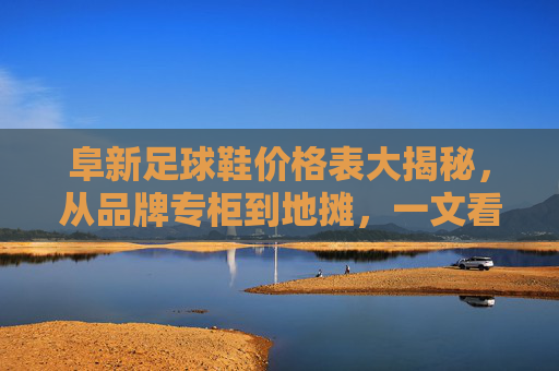 阜新足球鞋价格表大揭秘,从品牌专柜到地摊,一文看懂阜新球鞋行情