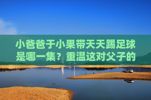 小爸爸于小果带天天踢足球是哪一集?重温这对父子的温情时刻