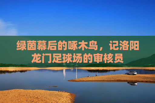 绿茵幕后的啄木鸟,记洛阳龙门足球场的审核员