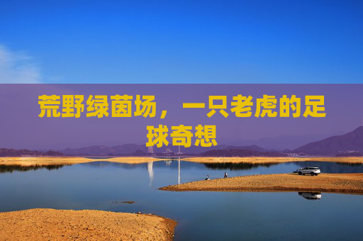 荒野绿茵场,一只老虎的足球奇想