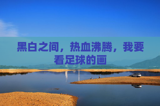 黑白之间,热血沸腾,我要看足球的画