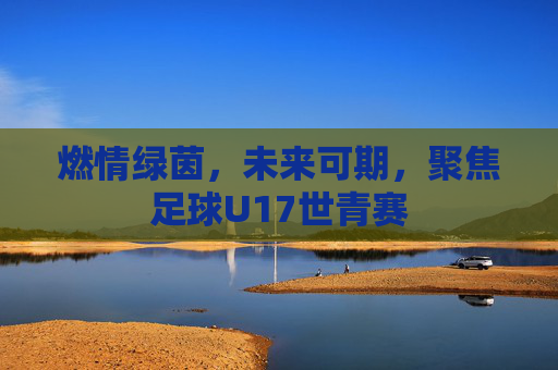 燃情绿茵,未来可期,聚焦足球U17世青赛
