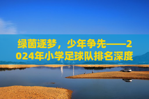 绿茵逐梦,少年争先——2024年小学足球队排名深度解析