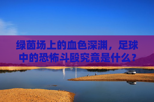 绿茵场上的血色深渊,足球中的恐怖斗殴究竟是什么?