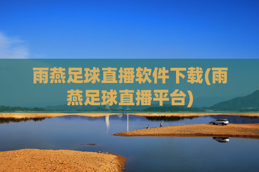 雨燕足球直播软件下载(雨燕足球直播平台)