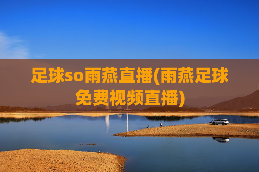 足球so雨燕直播(雨燕足球免费视频直播)