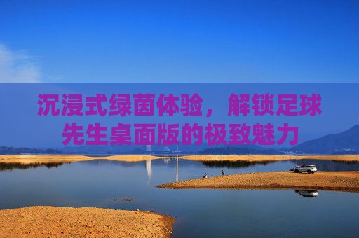 沉浸式绿茵体验,解锁足球先生桌面版的极致魅力