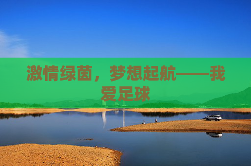 激情绿茵,梦想起航——我爱足球