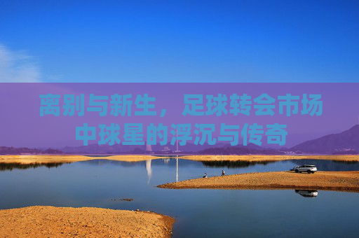 离别与新生,足球转会市场中球星的浮沉与传奇