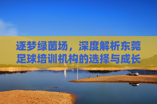 逐梦绿茵场,深度解析东莞足球培训机构的选择与成长之路