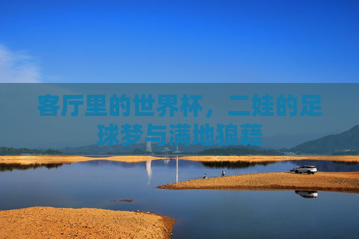 客厅里的世界杯,二娃的足球梦与满地狼藉