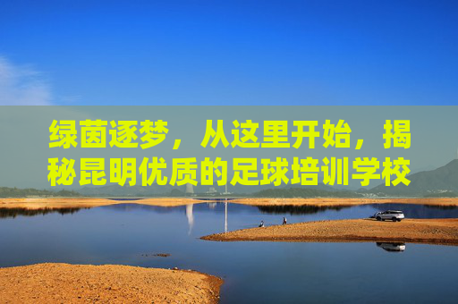 绿茵逐梦,从这里开始,揭秘昆明优质的足球培训学校与成长之路