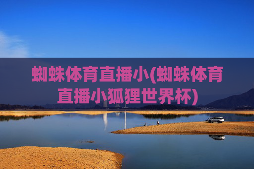 蜘蛛体育直播小(蜘蛛体育直播小狐狸世界杯)