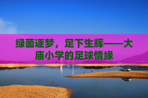 绿茵逐梦,足下生辉——大庙小学的足球情缘