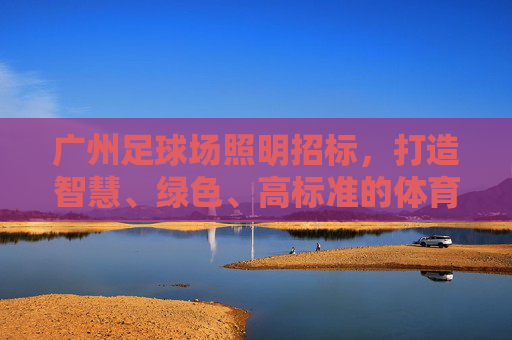 广州足球场照明招标,打造智慧、绿色、高标准的体育照明新标杆