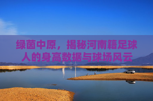 绿茵中原,揭秘河南籍足球人的身高数据与球场风云