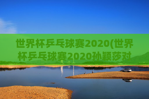 世界杯乒乓球赛2020(世界杯乒乓球赛2020孙颖莎对伊藤)