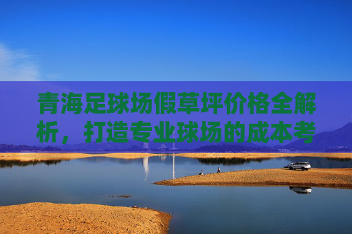 青海足球场假草坪价格全解析,打造专业球场的成本考量