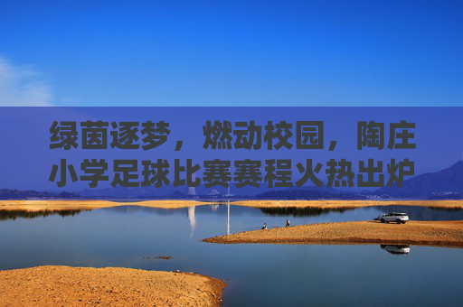 绿茵逐梦,燃动校园,陶庄小学足球比赛赛程火热出炉