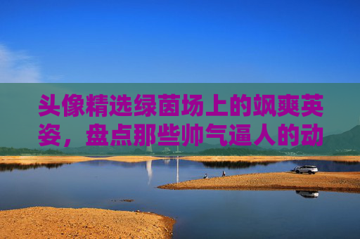 头像精选绿茵场上的飒爽英姿,盘点那些帅气逼人的动漫足球头像女