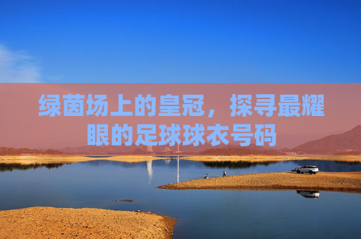绿茵场上的皇冠,探寻最耀眼的足球球衣号码